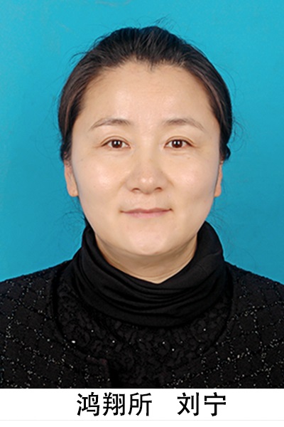 刘宁